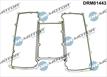 Gaskets DRM01443