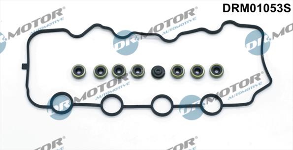 Gaskets DRM01053S