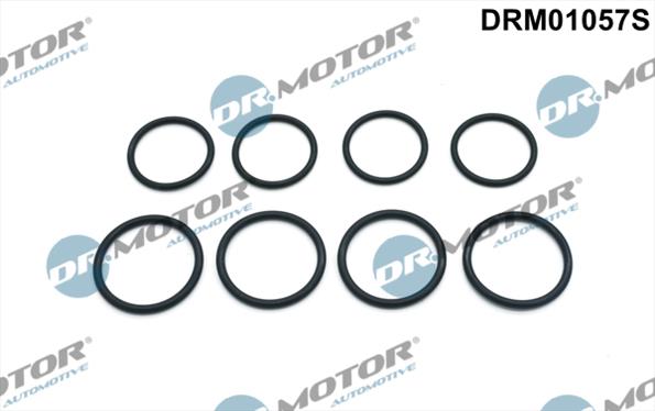 Gaskets DRM01057S