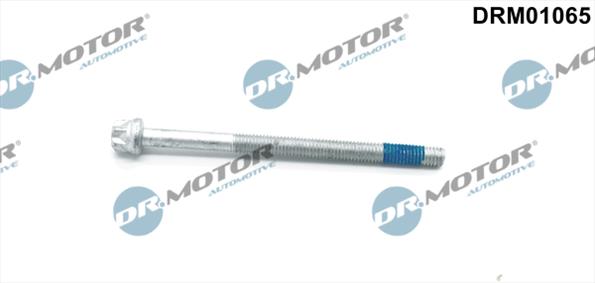 Injector mountings DRM01065