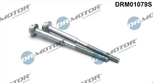 Injector mountings DRM01079S