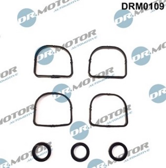 Gaskets DRM0109