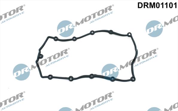Gaskets DRM01101