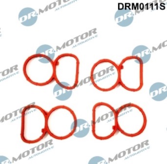 Gaskets DRM0111S