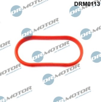 Gaskets DRM0113