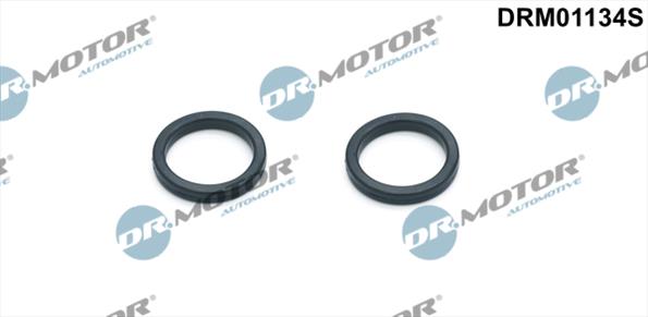 Gaskets DRM01134S