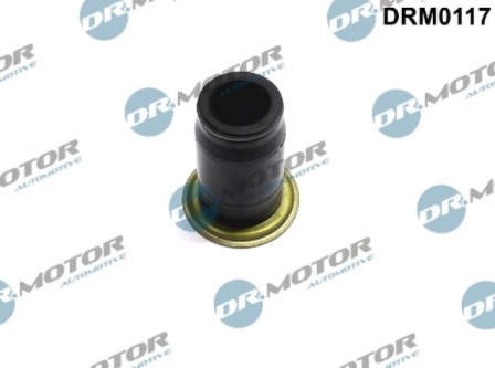 Gaskets DRM0117