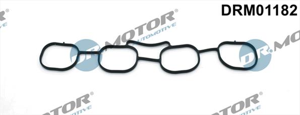 Gaskets DRM01182