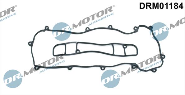 Gaskets DRM01184