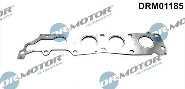 Gaskets DRM01185