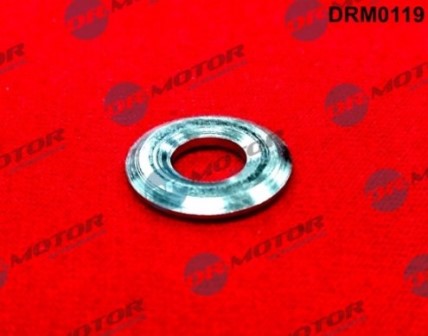 Gaskets DRM0119