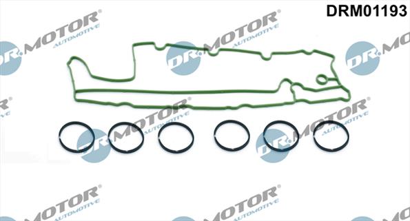 Gaskets DRM01193