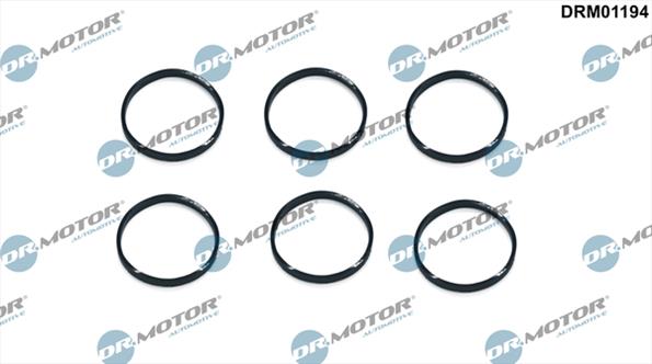 Gaskets DRM01194