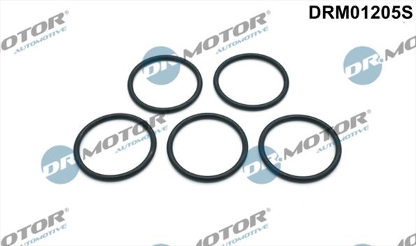 Gaskets DRM01205S