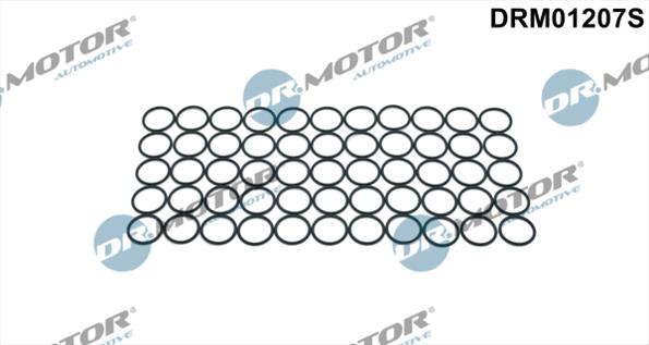 Gaskets DRM01207S