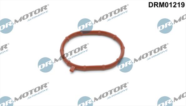 Gaskets DRM01219