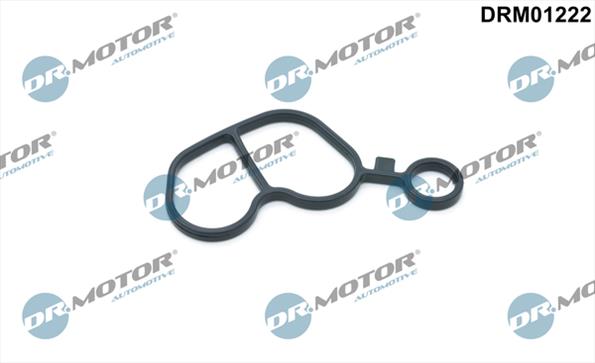 Gaskets DRM01222