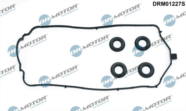 Gaskets DRM01227S