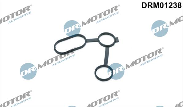 Gaskets DRM01238