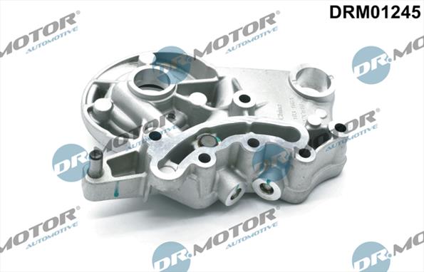 Motor DRM01245