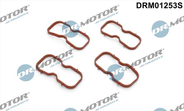 Gaskets DRM01253S