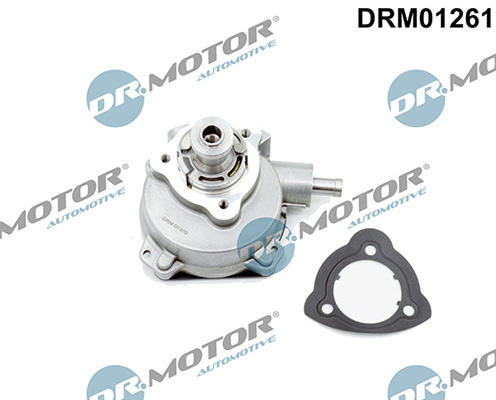 Vaccum pumps and repair kits DRM01261