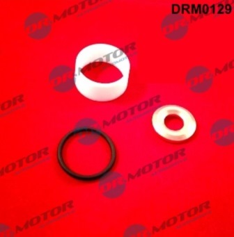 Injector mountings DRM0129