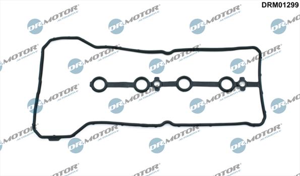 Gaskets DRM01299