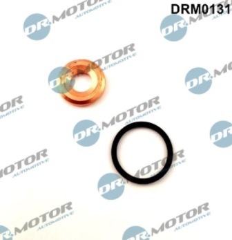 Injector mountings DRM0131