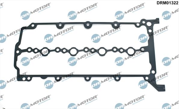 Gaskets DRM01322