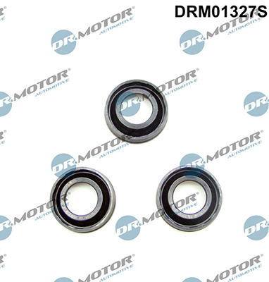 Gaskets DRM01327S