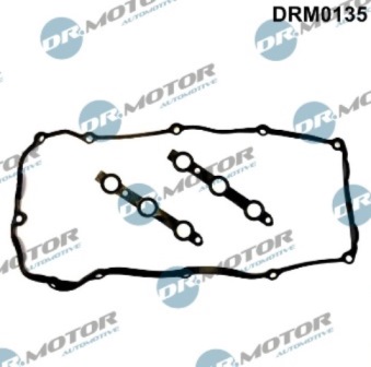 Gaskets DRM0135