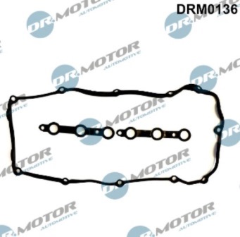 Gaskets DRM0136