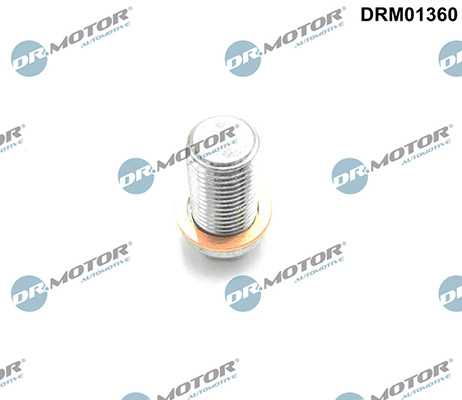 Motor DRM01360