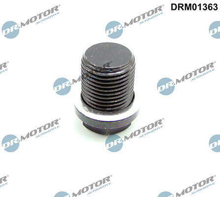 Motor DRM01363