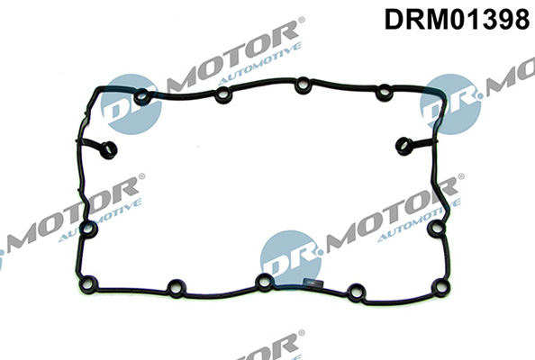 Gaskets DRM01398