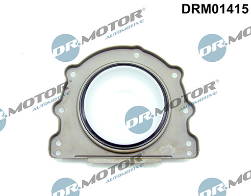 Gaskets DRM01415