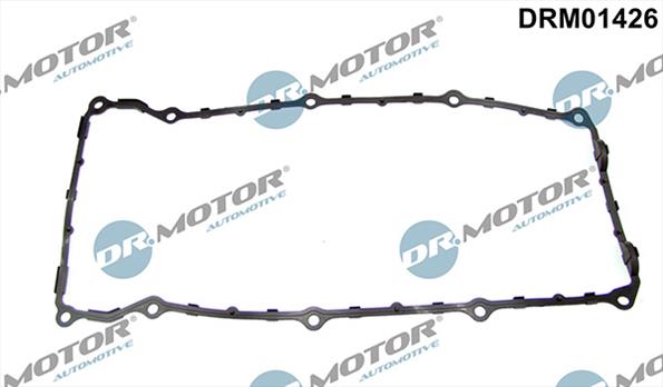 Gaskets DRM01426