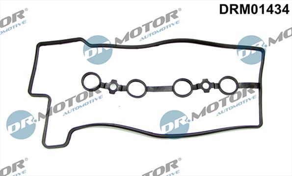 Gaskets DRM01434