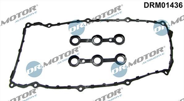 Gaskets DRM01436