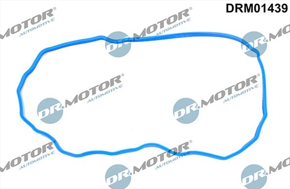 Gaskets DRM01439