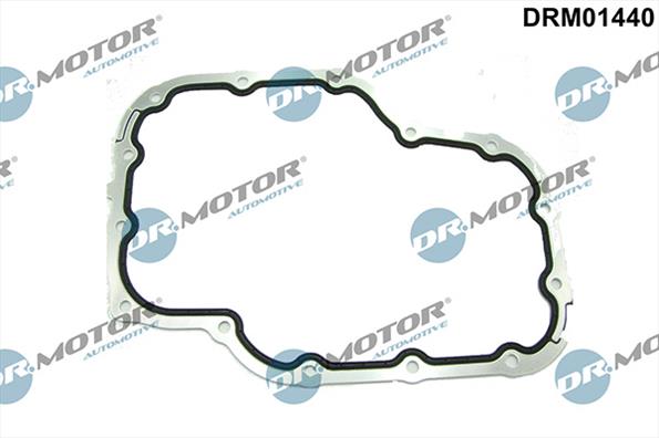 Gaskets DRM01440