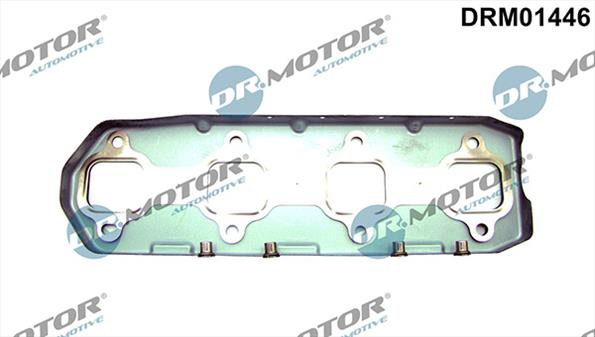 Gaskets DRM01446