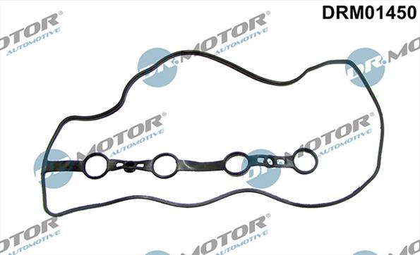 Gaskets DRM01450