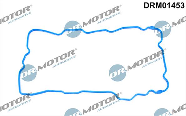 Gaskets DRM01453