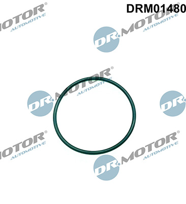 Gaskets DRM01480