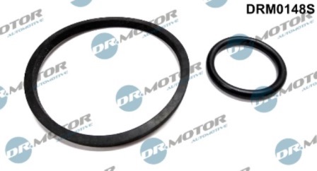 Gaskets DRM0148S