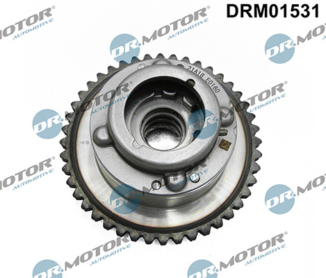 Motor DRM01531