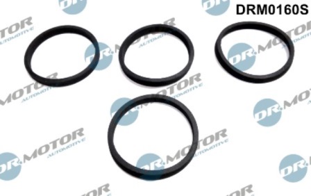 Gaskets DRM0160S