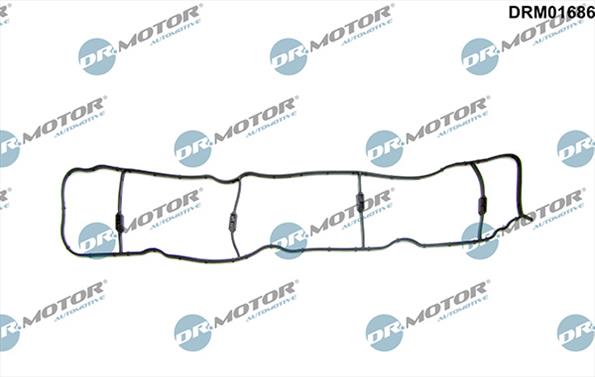 Gaskets DRM01686